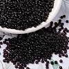 MIYUKI Round Rocailles Beads SEED-X0055-RR2402-1