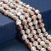 Natural Cultured Freshwater Pearl Beads Strands X-PEAR-T003-09-4
