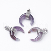 Natural Amethyst Pendants G-E425-05P-2