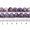 Natural Lepidolite Beads Strands G-U026-A06-10mm-5