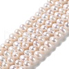 Natural Cultured Freshwater Pearl Beads Strands PEAR-E018-16-1