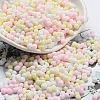 Macaron Color Opaque Frosted Glass Seed Beads X1-SEED-K009-12B-13-1
