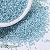 MIYUKI Delica Beads SEED-X0054-DB0628-1