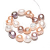 Natural Cultured Freshwater Pearl Beads Strands PEAR-N014-09A-2