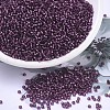 MIYUKI Round Rocailles Beads SEED-G007-RR1342-1