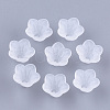 5-Petal Transparent Acrylic Bead Caps MACR-S362-05-1