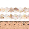 Electroplated Natural Freshwater Shell Carved Beads Strands SHEL-T020-14-4