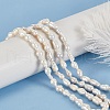 GOMAKERER 1 Strand Natural Cultured Freshwater Pearl Beads Strands PEAR-GO0001-18-4