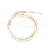 Natural Freshwater Shell Beads Strands SHEL-G013-01H-2