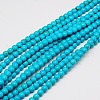 Synthetic Turquoise Beads Strands TURQ-G106-10mm-02F-1