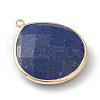 Natural Lapis Lazuli Pendants G-B009-07G-C-4