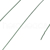 Baking Painted Iron Wire MW-NH0001-04A-2