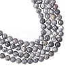 ARRICRAFT Natural Map Stone Beads Strands G-AR0002-67-1
