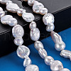 Natural Keshi Pearl Beads Strands PEAR-S018-01A-5