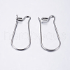304 Stainless Steel Hoop Earrings STAS-L198-15A-P-2