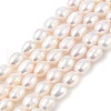 Natural Cultured Freshwater Pearl Beads Strands PEAR-I007-01D-06A-01-2