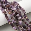 Natural Lepidolite/Purple Mica Stone Beads Strands G-Z081-A01-1
