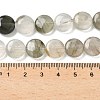 Natural Green Rutilated Quartz Beads Strands G-F790-H01-03-5