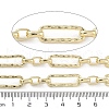 Rack Plating Brass Paperclip Chains CHC-F018-01G-2