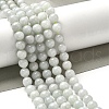 Natural Myanmar Jadeite Beads Strands G-L595-C01-02-2