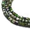 Natural Diopside Beads Strands X-G-G161-C23-01-4