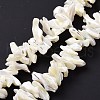 Natural Trochid Shell Beads Strands X-SSHEL-G023-05B-2