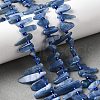 Natural Kyanite Beads Strands G-J403-02-5