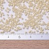 MIYUKI Delica Beads SEED-X0054-DB0204-4