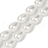 Electroplate Shell Pearl Beads Strands BSHE-O019-05-1