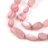 Natural White Shell Beads Strands SHEL-N036-21G-3