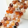 Flat Round Gemstone Natural Red Agate Stone Beads Strands X-G-S110-03-3