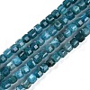 Natural Apatite Beads Strands G-P553-E03-02-2
