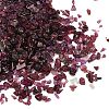 Natural Garnet Chip Beads G-M364-14-01-1