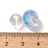 Mixed Style Glass Beads GLAA-XCP0012-02D-3