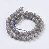 Natural Labradorite Beads Strands G-G212-8mm-23-2