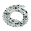 Natural Sesame Jasper Beads Strands G-M403-A40-02-3