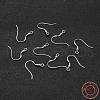 925 Sterling Silver Earring Hooks STER-P032-05S-4