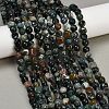Natural Indian Agate Beads Strands G-Q060-E08-01-1