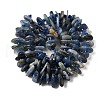 Natural Kyanite Beads Strands G-J403-01-2