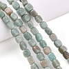 Natural Amazonite Beads Strands G-T141-32-1