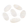 Natural Freshwater Shell Cabochons BSHE-G036-10B-1