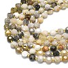Natural Bamboo Leaf Agate Beads Strands G-C116-A34-02-3