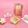 Transparent PVC Rectangle Favor Box Candy Treat Gift Box CON-BC0006-27-5