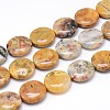 Crazy Agate Flat Round Bead Strands G-M206-16-1