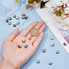 FIBLOOM 20Pcs Abalone Shell/Paua Shell Beads SSHEL-FI0001-03-3