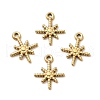 Ion Plating(IP) 304 Stainless Steel Pendants STAS-H165-06G-1
