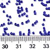 11/0 Grade A Glass Seed Beads X-SEED-S030-1024-4