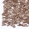 Electroplate Glass Bugle Beads SEED-S029-02B-06-2