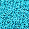 Baking Paint Glass Seed Beads SEED-US0003-3mm-K10-2