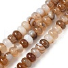 Natural Agate Beads Strands G-H295-C03-16-3